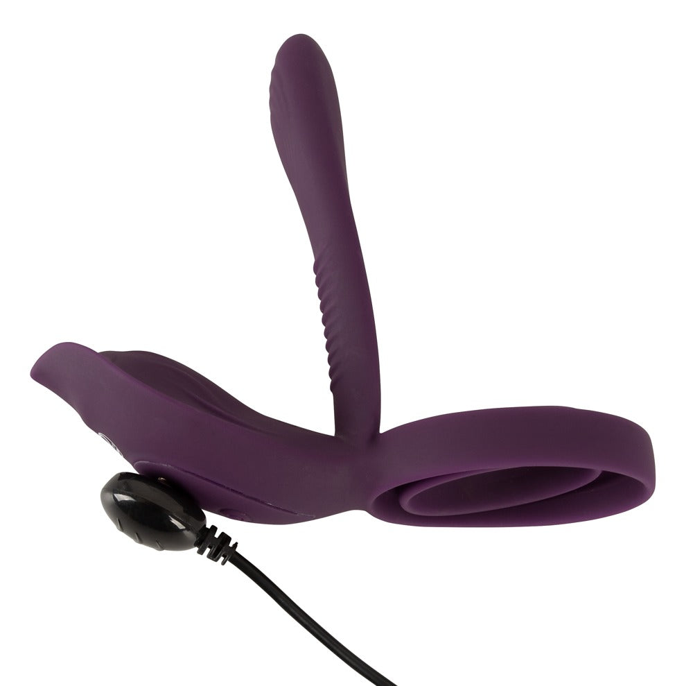 RC Couple‘s Vibrator 2